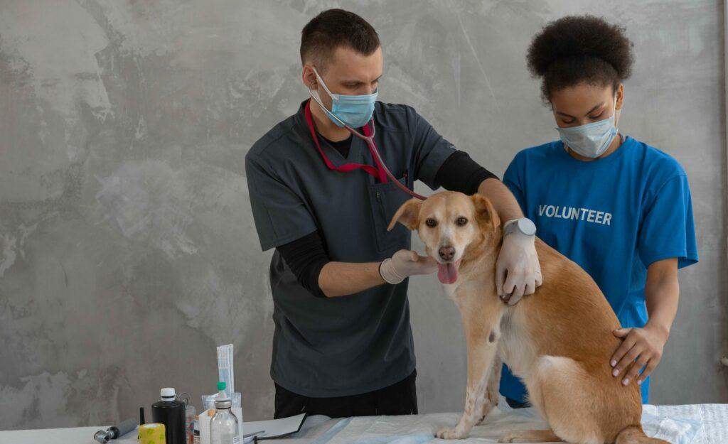 Tiermedizinische Fachangestellte Mathias Von Flurl Schule